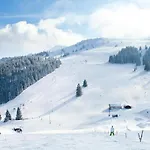 Apartment Charmante In Bayrischzell