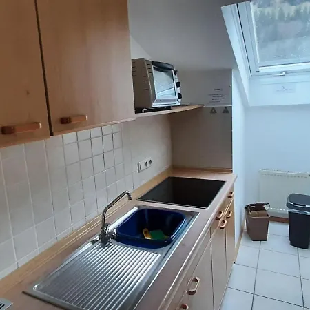 In With 2 Saunas Apartment